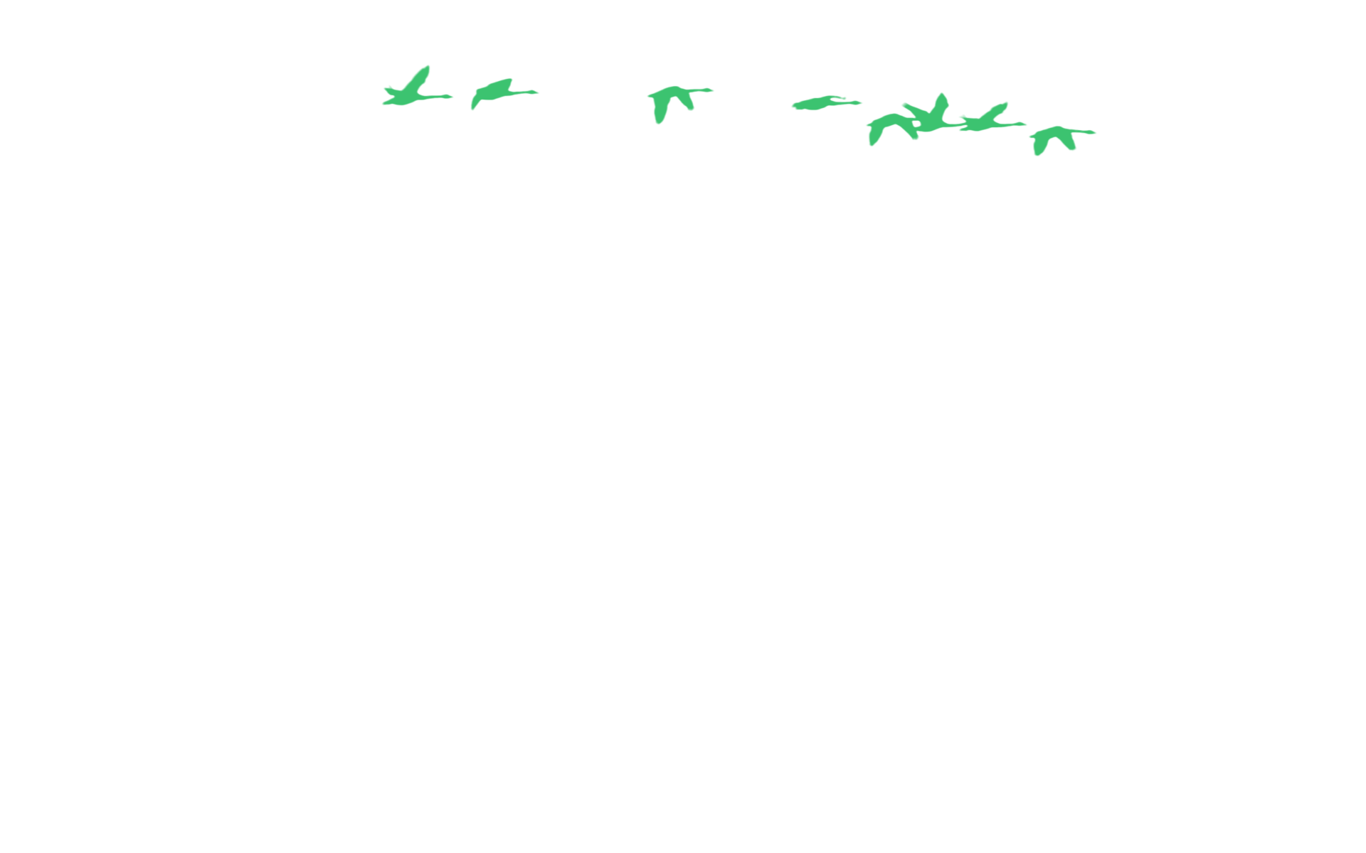 Hintergrund Donnerbucht 4