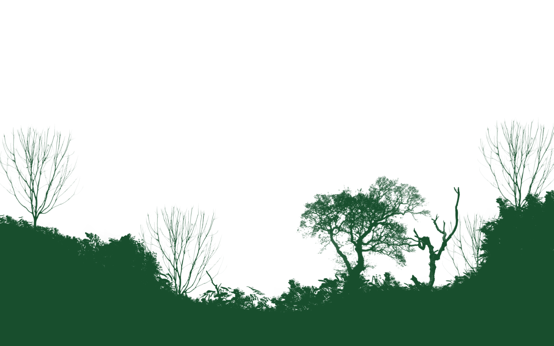 Hintergrund Donnerbucht 7