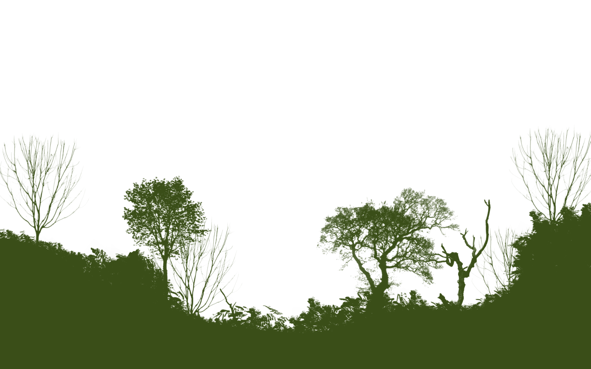 Hintergrund Freibeuterland 7