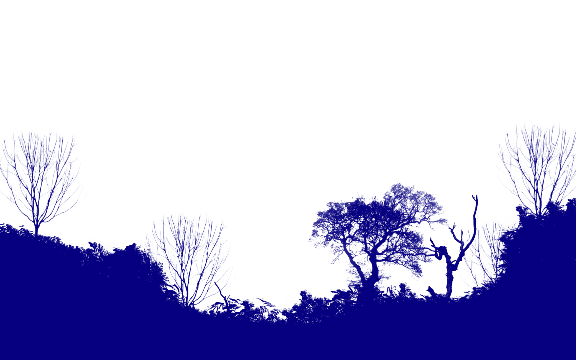 Hintergrund Gezeitengebiet 7