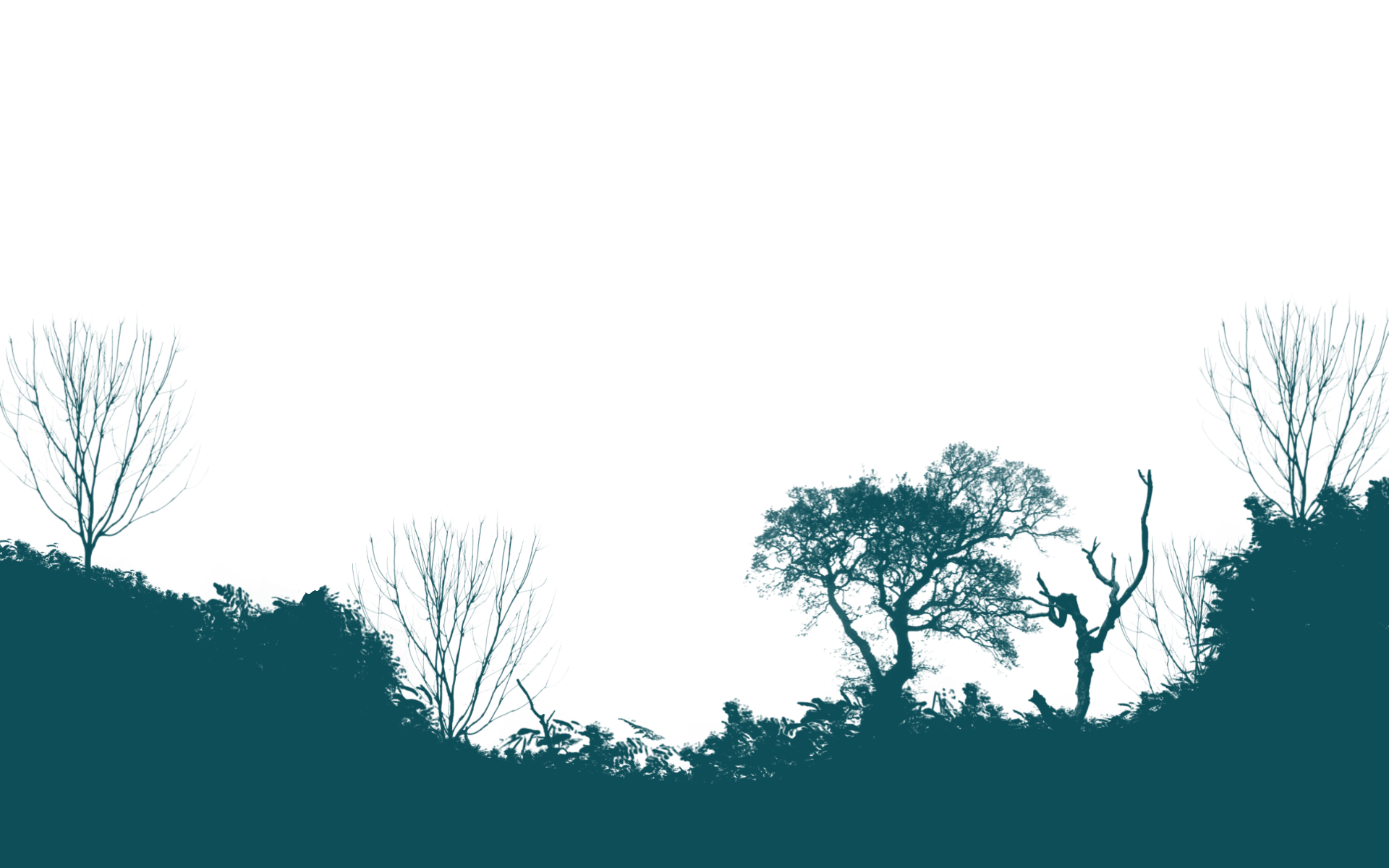 Hintergrund Krakeninseln 7