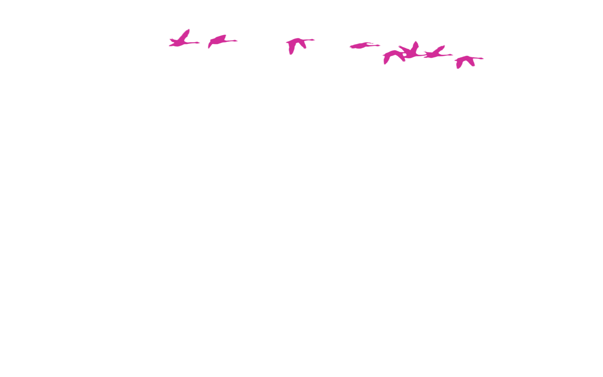 Hintergrund Säbelriff 4