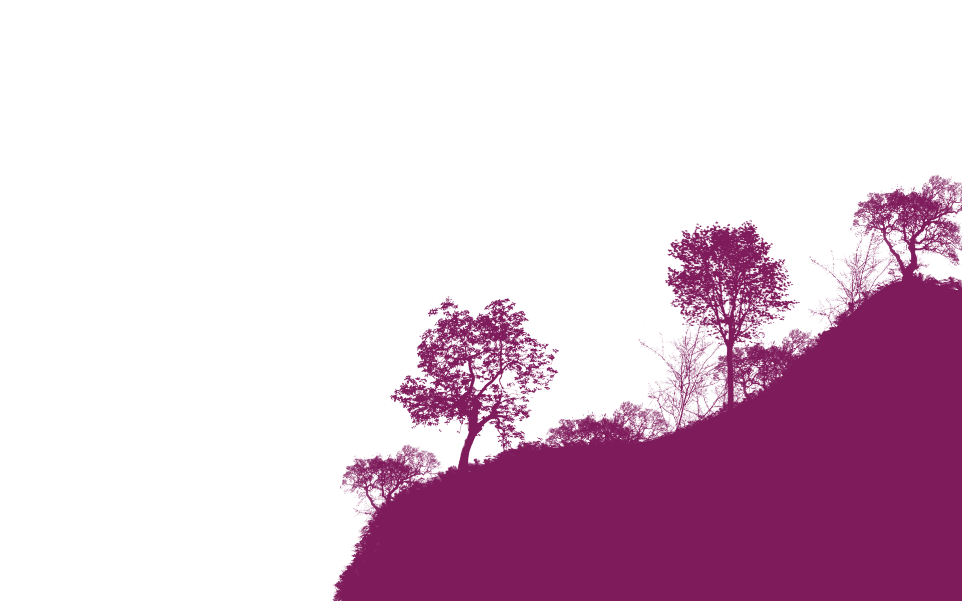 Hintergrund Säbelriff 6