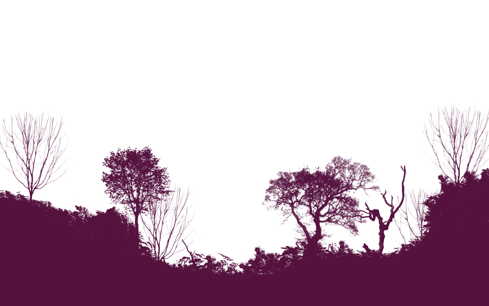 Hintergrund Säbelriff 7