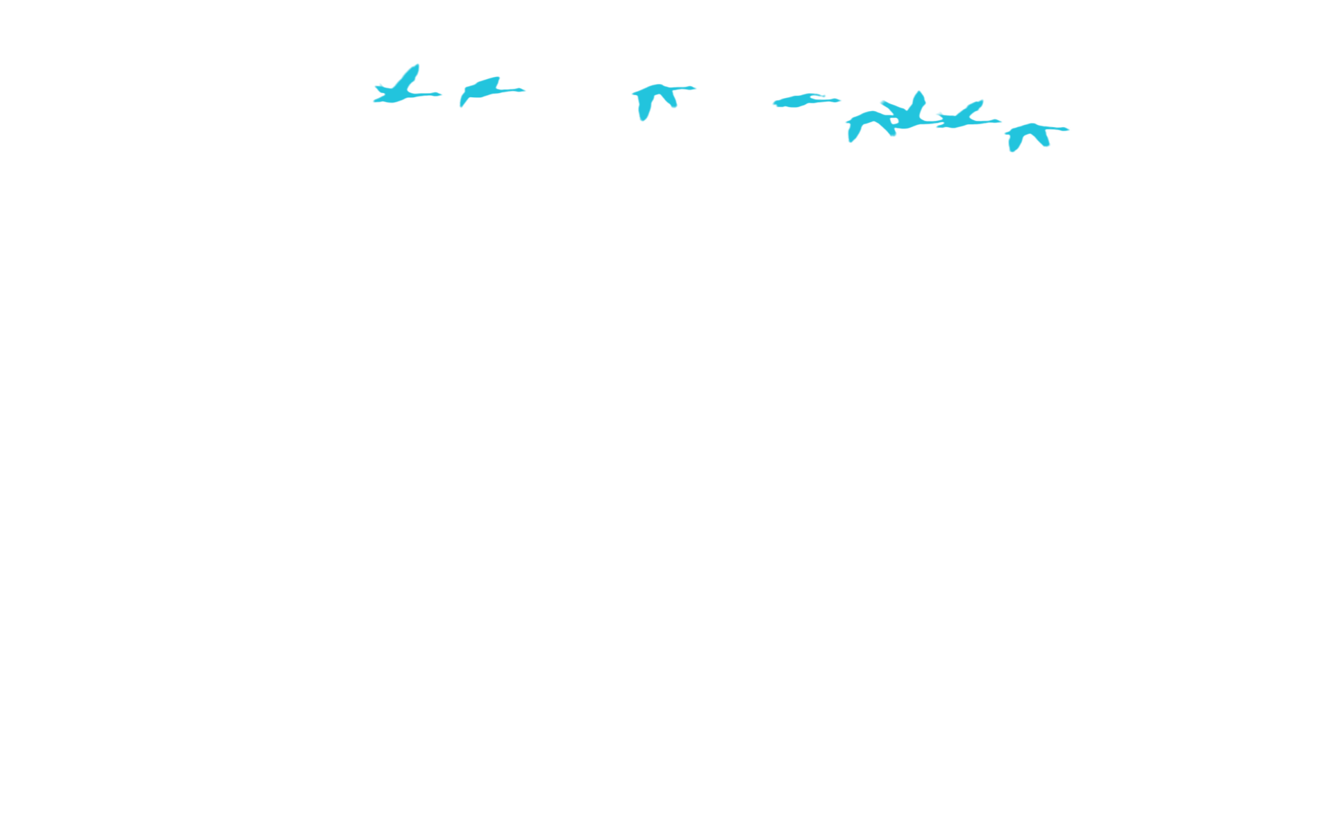 Hintergrund Krakeninseln 4